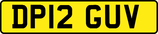DP12GUV