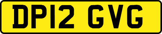DP12GVG
