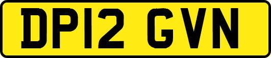 DP12GVN