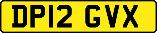 DP12GVX