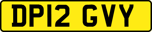 DP12GVY