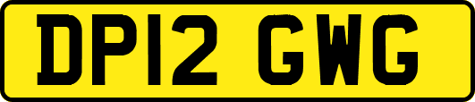 DP12GWG