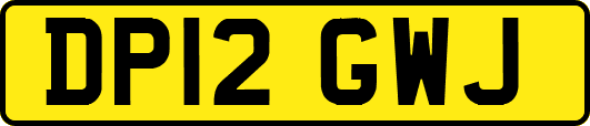 DP12GWJ