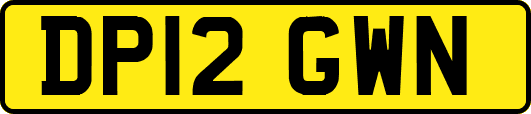 DP12GWN