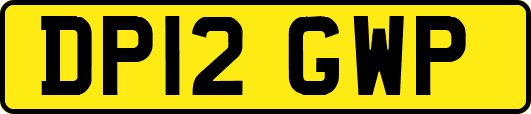 DP12GWP