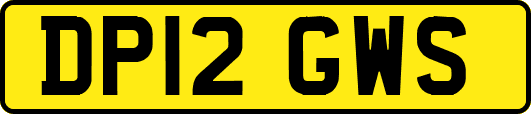 DP12GWS