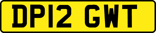 DP12GWT