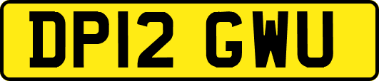 DP12GWU