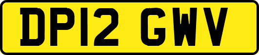 DP12GWV