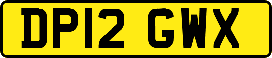 DP12GWX
