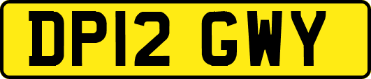 DP12GWY