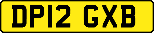 DP12GXB