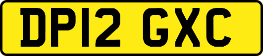 DP12GXC