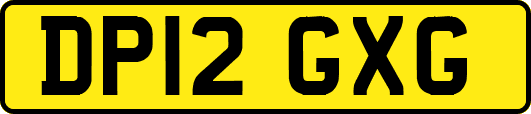 DP12GXG