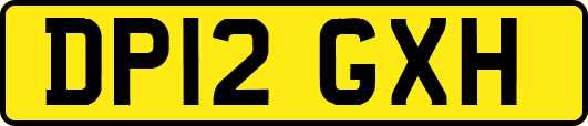 DP12GXH