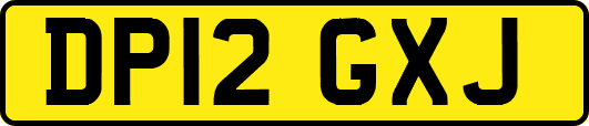 DP12GXJ