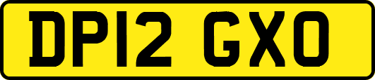 DP12GXO