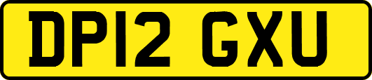 DP12GXU