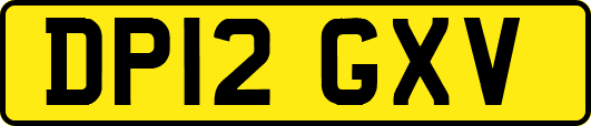 DP12GXV
