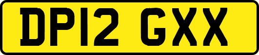 DP12GXX
