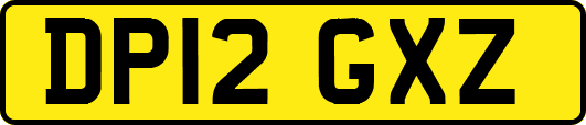 DP12GXZ