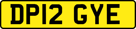 DP12GYE