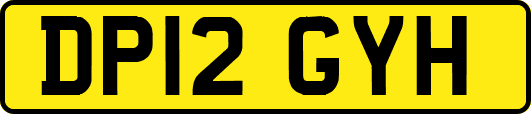 DP12GYH