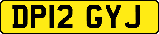 DP12GYJ