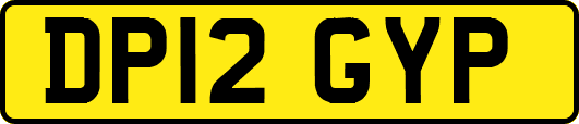 DP12GYP
