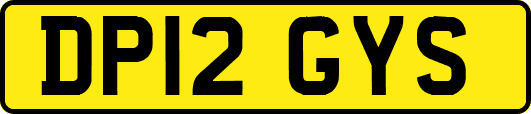 DP12GYS
