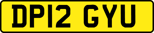 DP12GYU