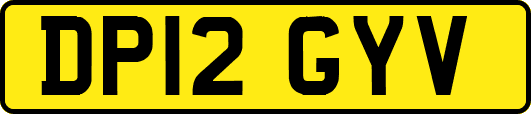 DP12GYV