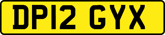 DP12GYX