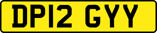 DP12GYY