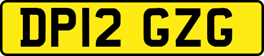 DP12GZG