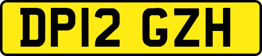 DP12GZH