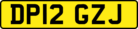 DP12GZJ