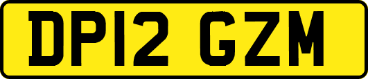 DP12GZM