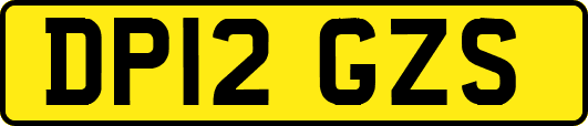 DP12GZS
