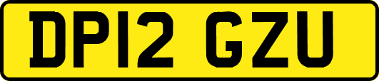 DP12GZU
