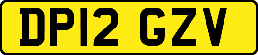 DP12GZV