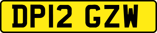 DP12GZW