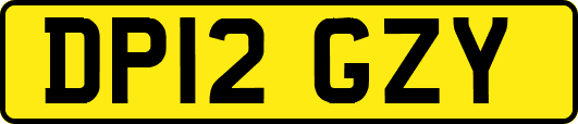 DP12GZY