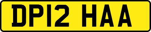 DP12HAA