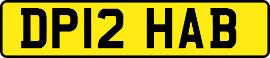 DP12HAB