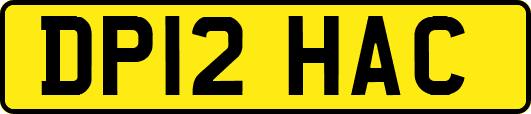 DP12HAC