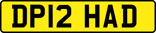 DP12HAD