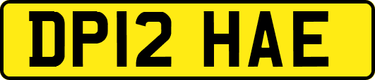 DP12HAE