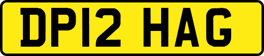 DP12HAG