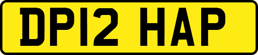 DP12HAP